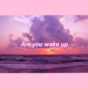 Are you wake up（被你唤醒）专辑