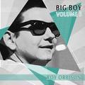 Big Boy Roy Orbison, Vol. 5