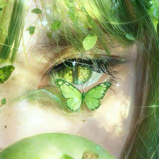 植愈纯音乐 | 光合旋律 绿色清新氛围感