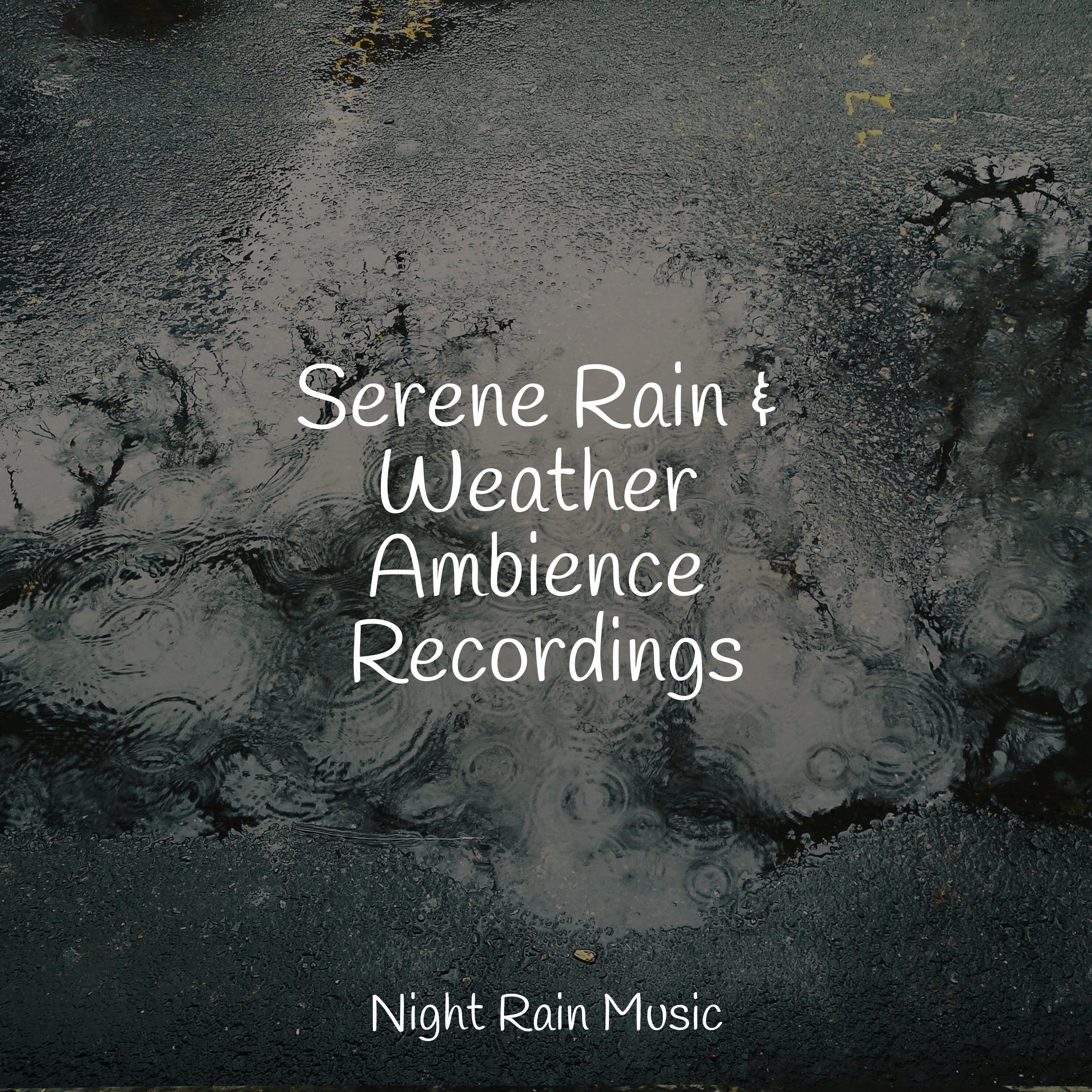 Serene Rain & Weather Ambience Recordings