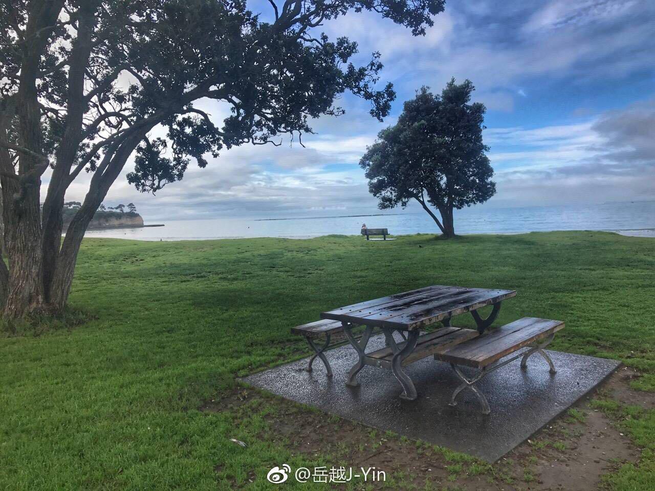 为你写的歌