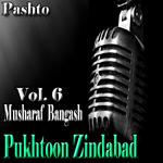 Pukhtoon Zindabad, Vol. 6专辑