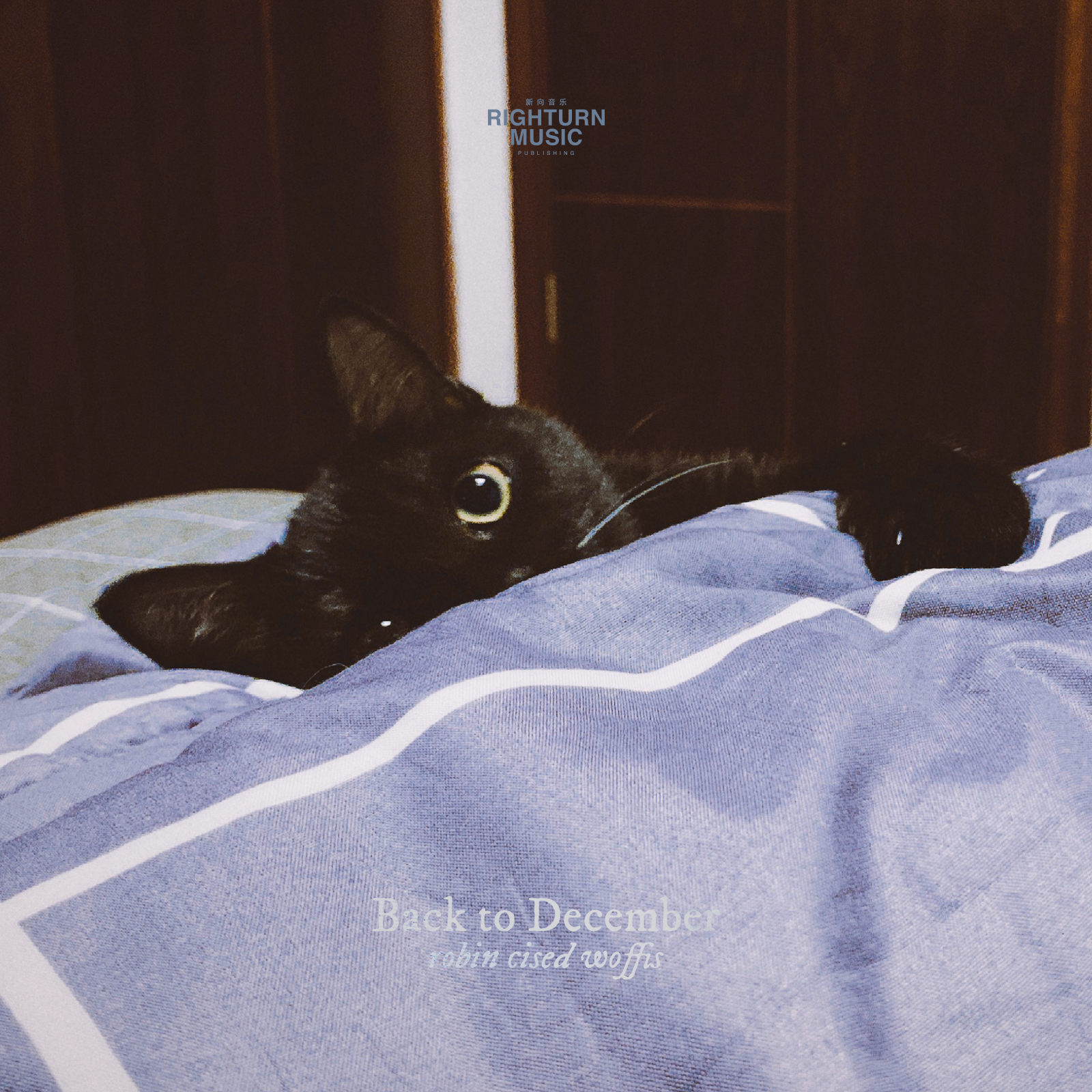 Back to December - Single