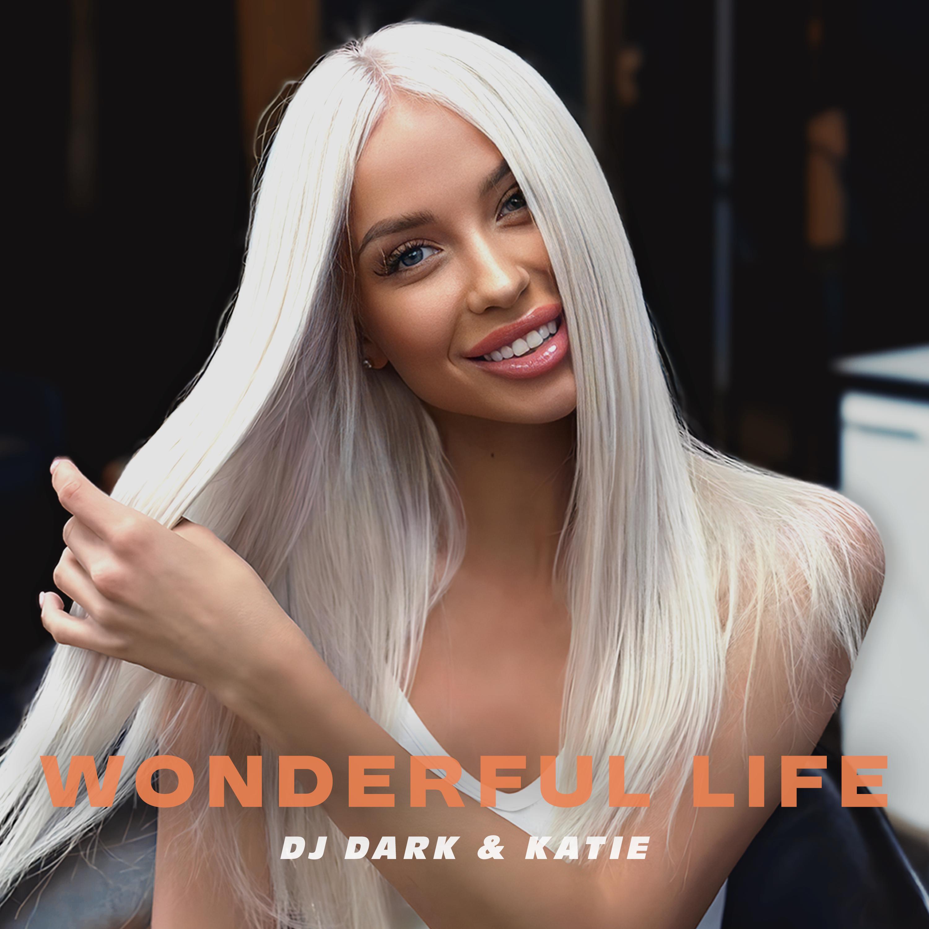 Wonderful Life