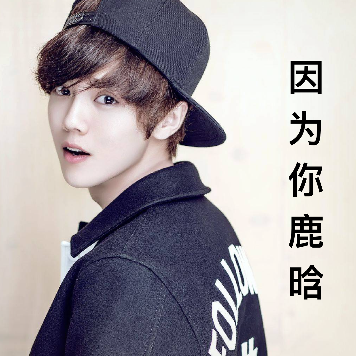 因为你鹿晗