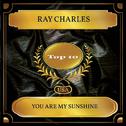 You Are My Sunshine (Billboard Hot 100 - No. 07)专辑