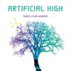 Alan Newman - Artificial High