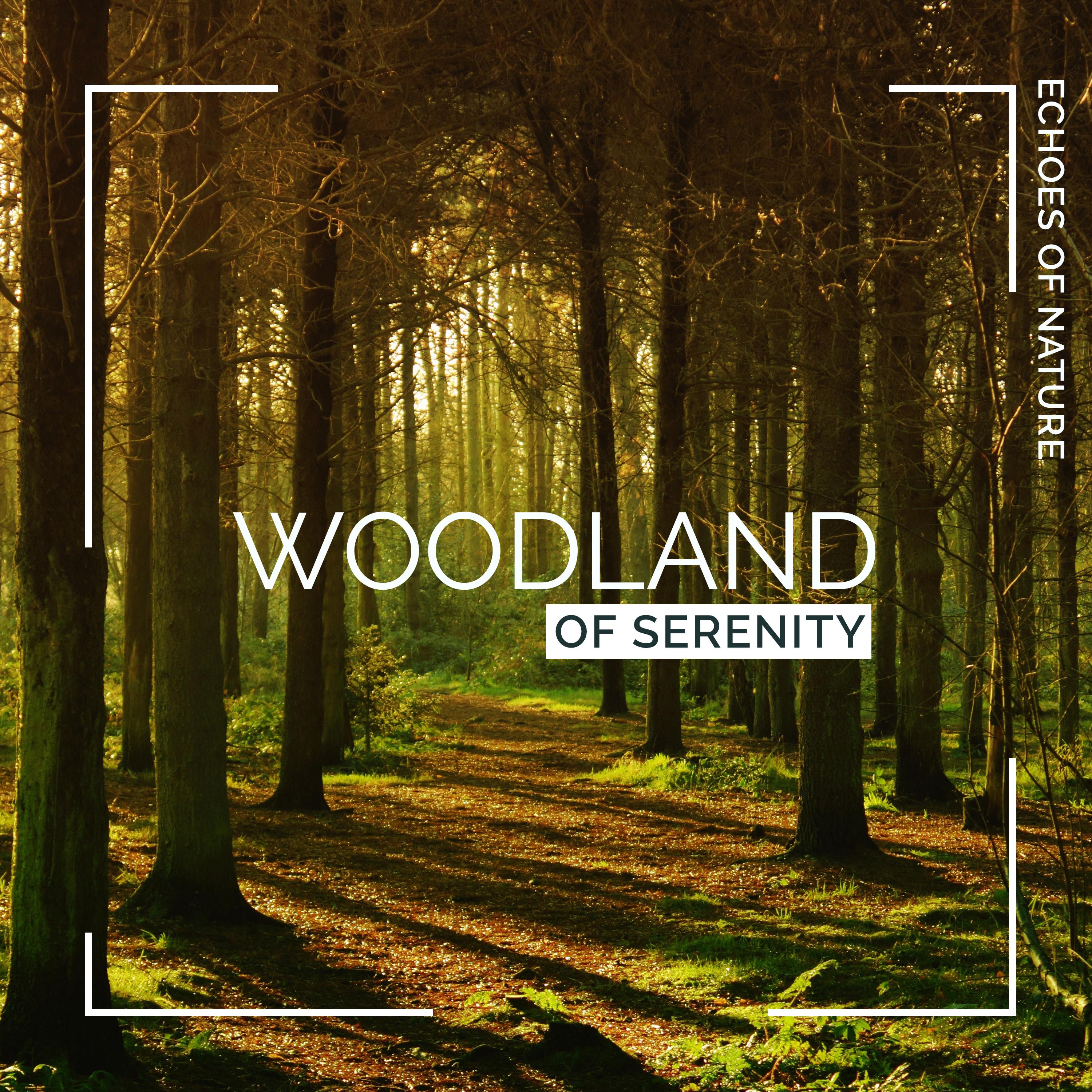 Woodland of Serenity专辑