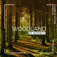 Woodland of Serenity