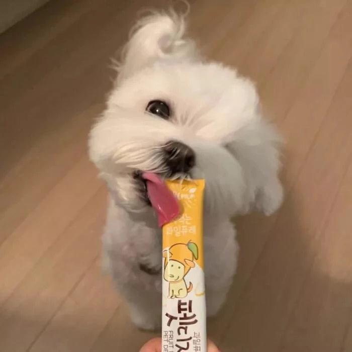 低空飞行(Demo)（翻自 沈以诚）