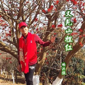 杨洪强 - 又见山里红