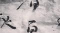 三儿专辑