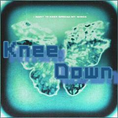 Knee Down(prod.MEGA)