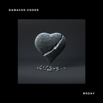 Damaged Goods (feat. Wild Fox)专辑