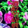 奶油 - drunk butterfly（翻自 drunk butterfly）