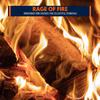 Harmonic Flames 3D Fire Music - Burning Up