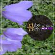 흐린 봄의 기억