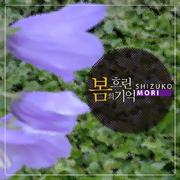 흐린 봄의 기억