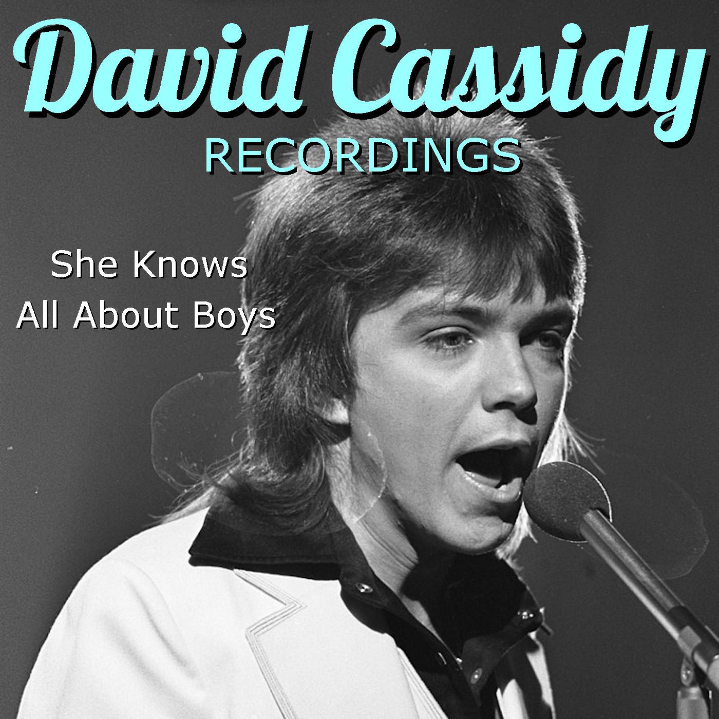 David Cassidy - Get It Up For Love (Live)