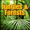 Jungles & Forests: Sound Effects专辑