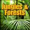 Jungles & Forests: Sound Effects专辑