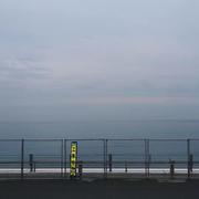 他和她