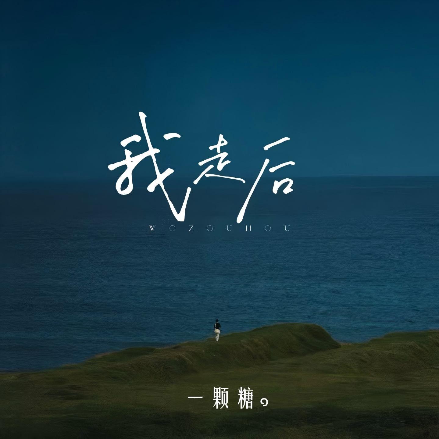 我走后