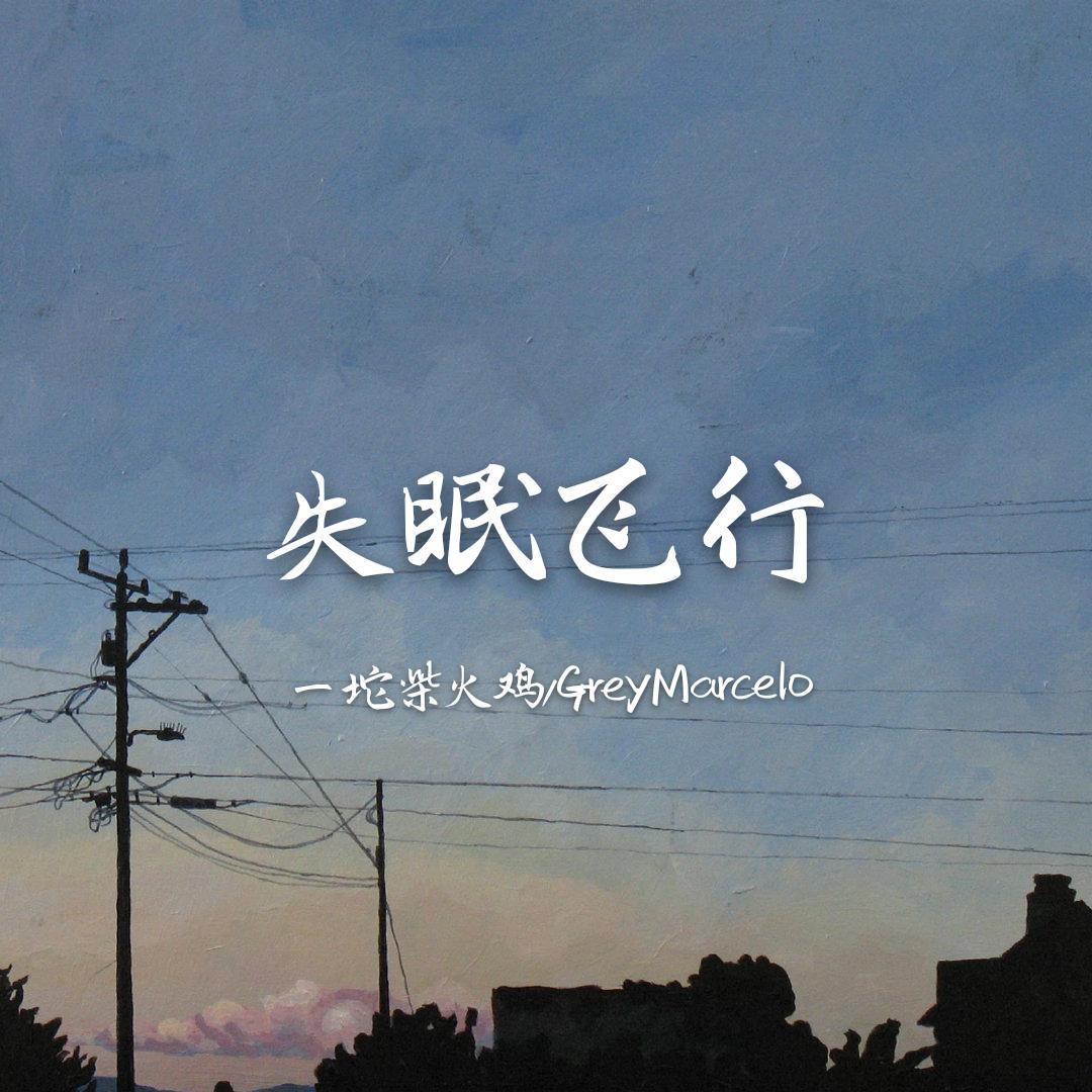 失眠飞行