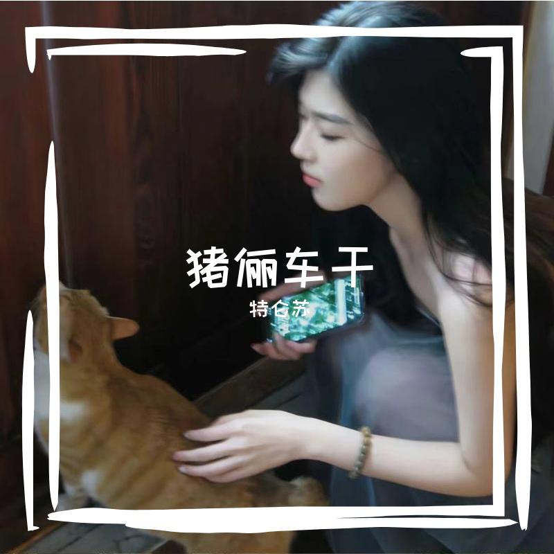 猪俪车干