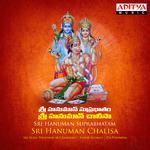 Sri Hanuman Suprabhatam - Sri Hanuman Chalisa专辑