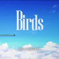 BIRDS OST