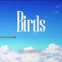 BIRDS OST专辑