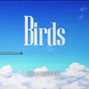 BIRDS OST专辑