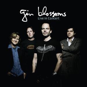 GIN BLOSSOMS - UNTIL I FALL AWAY （升3半音）