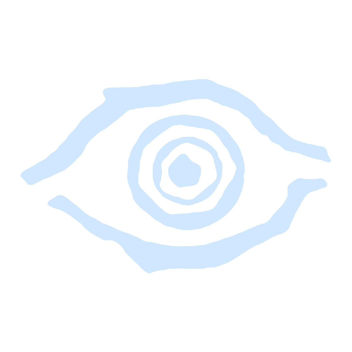 The Hypnotic Eye - Frying Pan