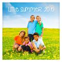 Little Summer 2015专辑