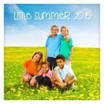 Little Summer 2015专辑