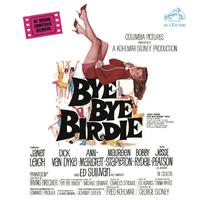 One Last Kiss - Bye Bye Birdie (PT karaoke) 无和声伴奏