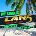 Tropical Love (The Remixes)专辑
