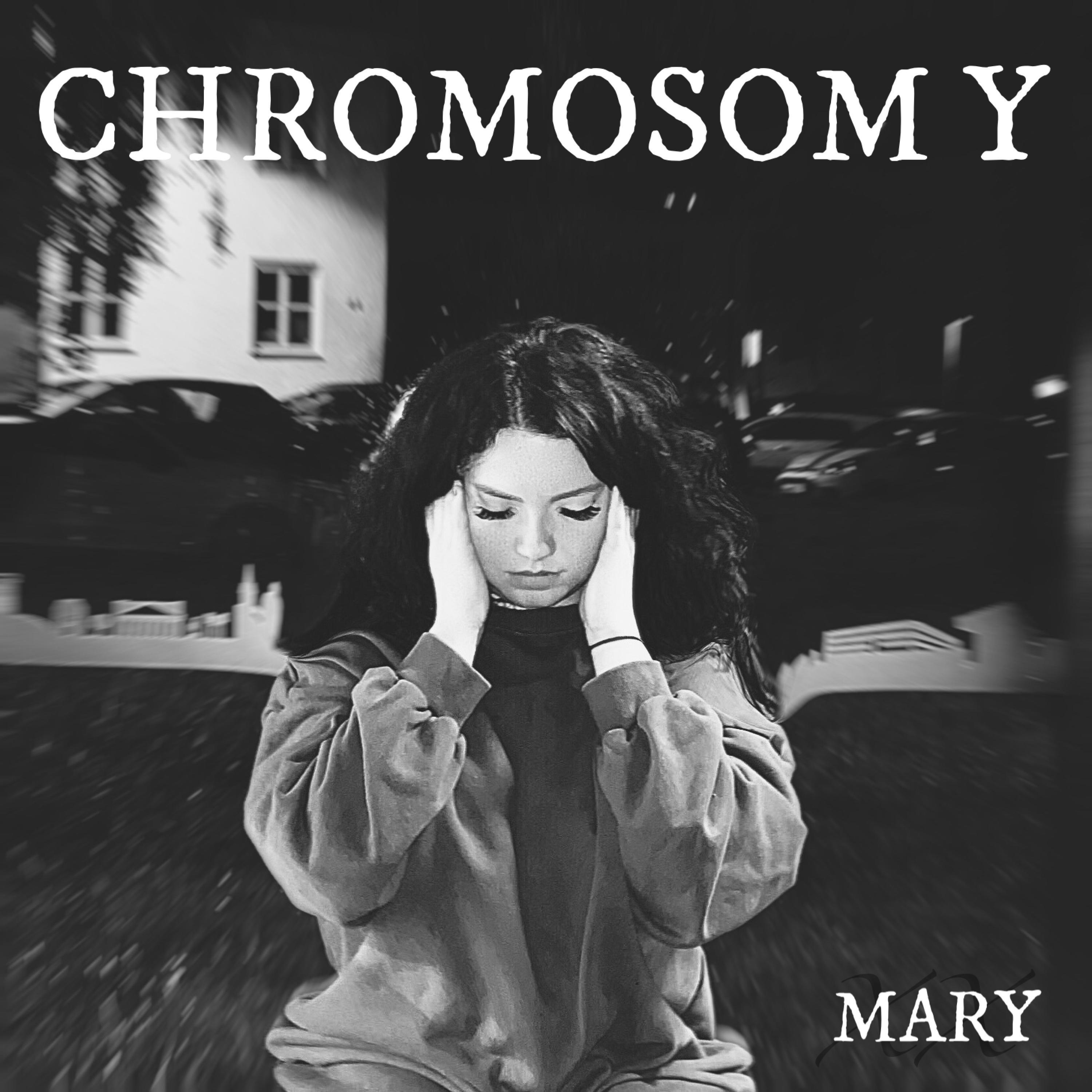 Chromosom Y