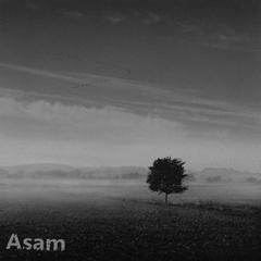 The world of Asam