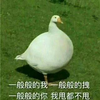 cxk有抄袭嫌疑歌曲目录