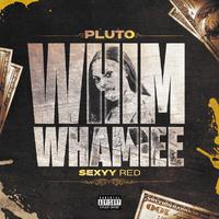 PLUTO & Sexyy Redd - WHIM WHAMIEE Remix