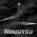 NINJUTSU