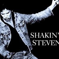 Shakin\' Stevens - Yes I Do (wbkup) (karaoke)