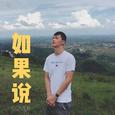 如果说