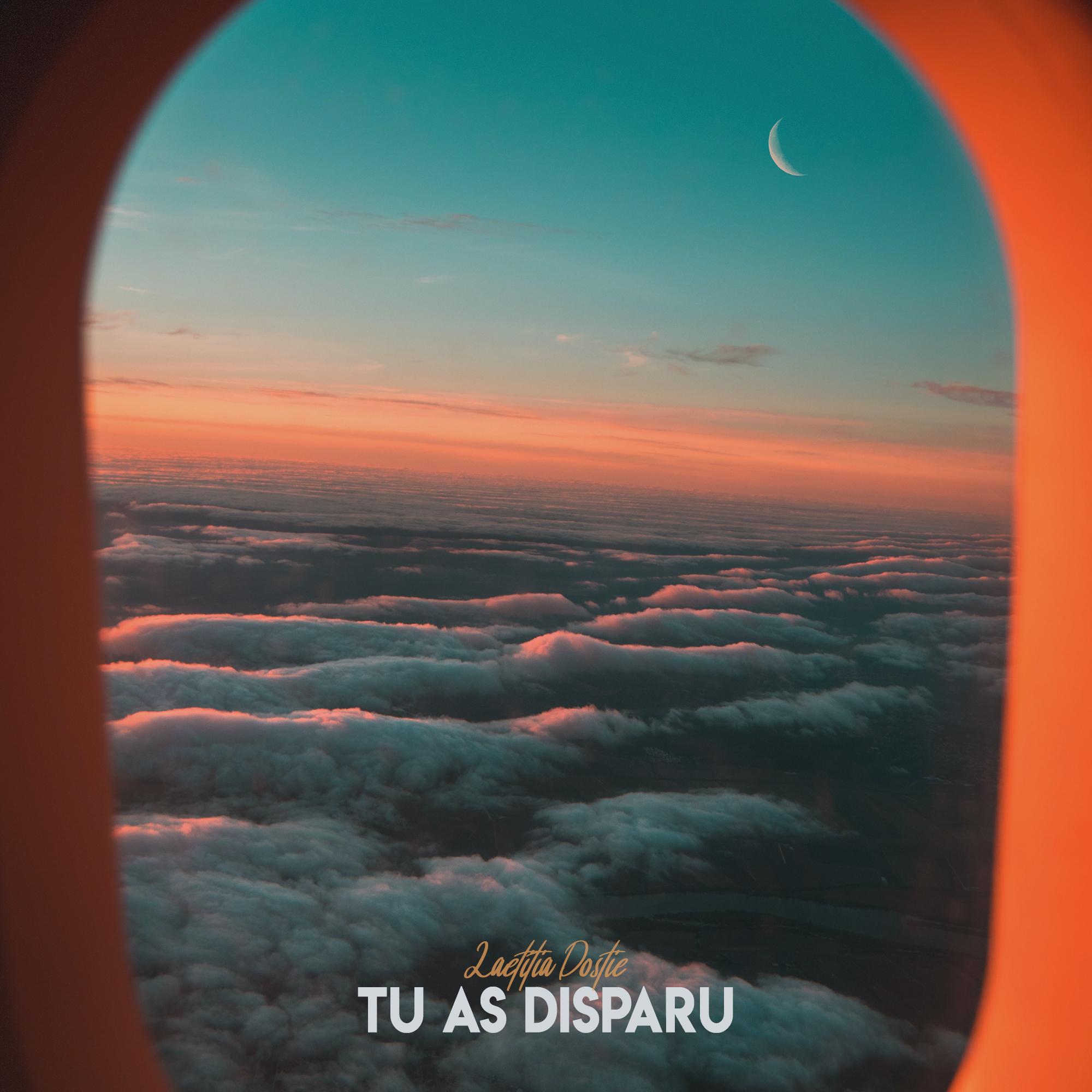 Tu as disparu
