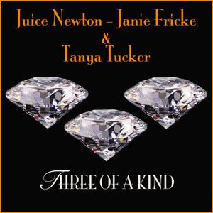 Love's Been a Little Bit Hard on Me - Juice Newton (Karaoke Version) 带和声伴奏 （升5半音）