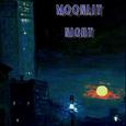 Moonlit Night