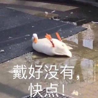 【Suck my Lollipop】来听羞羞歌鸭